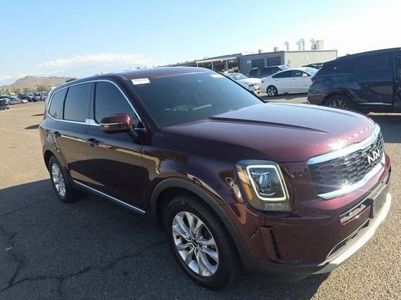 KIA TELLURIDE 2022 5XYP2DHC8NG203816 image