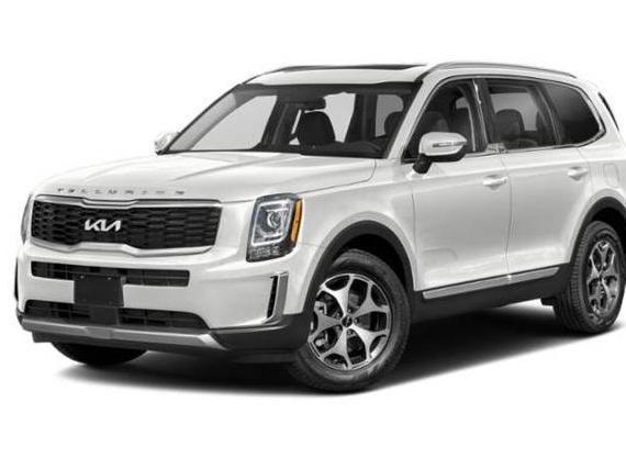 KIA TELLURIDE 2022 5XYP3DHC4NG249530 image