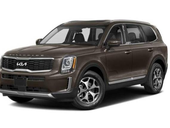 KIA TELLURIDE 2022 5XYP34HC8NG213890 image