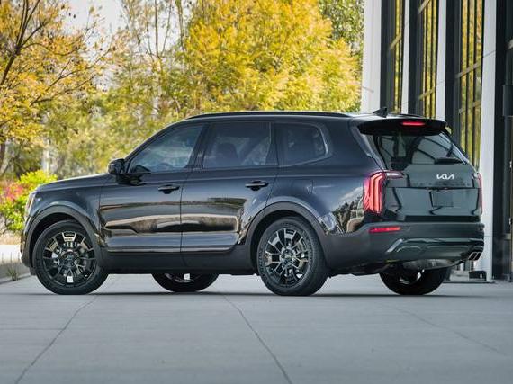 KIA TELLURIDE 2022 5XYP2DHC1NG260715 image