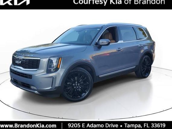 KIA TELLURIDE 2022 5XYP5DHCXNG294059 image
