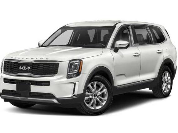 KIA TELLURIDE 2022 5XYP24HC4NG305677 image