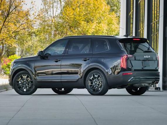 KIA TELLURIDE 2022 5XYP3DHC6NG244121 image