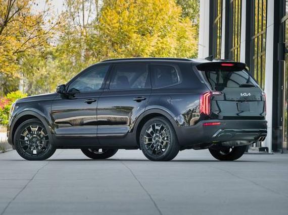 KIA TELLURIDE 2022 5XYP5DHC7NG276554 image