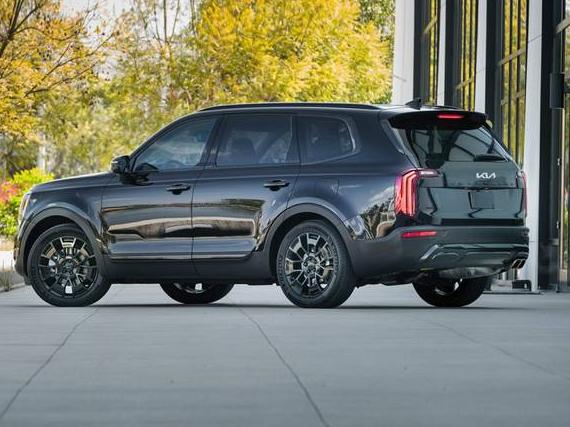 KIA TELLURIDE 2022 5XYP5DHC6NG243304 image