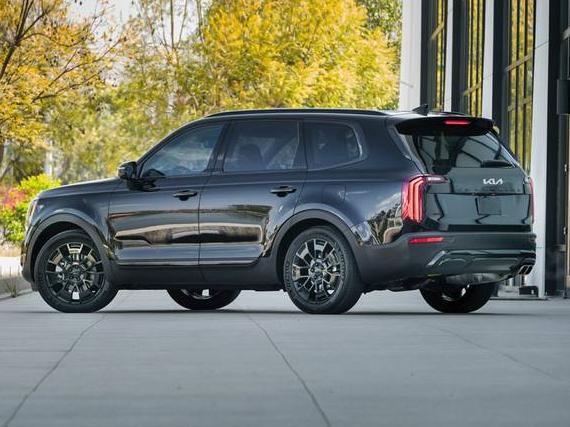 KIA TELLURIDE 2022 5XYP5DHC2NG313882 image