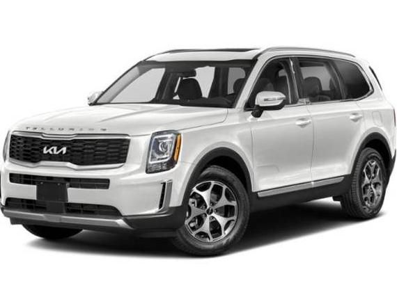 KIA TELLURIDE 2022 5XYP3DHC7NG294154 image