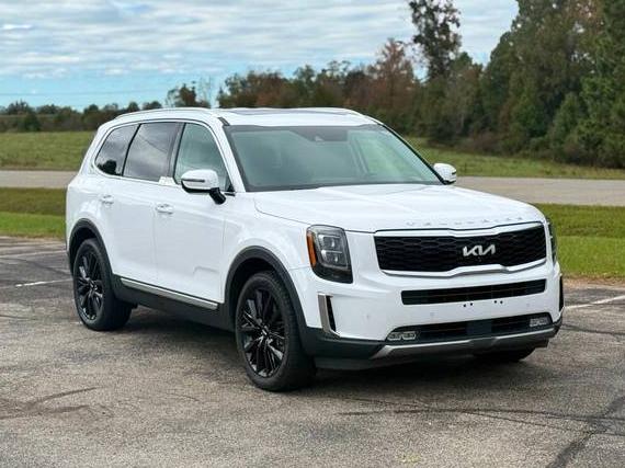 KIA TELLURIDE 2022 5XYP54HC9NG197029 image