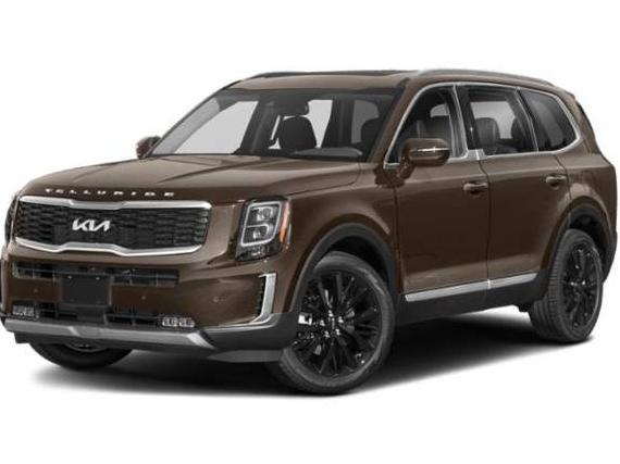 KIA TELLURIDE 2022 5XYP5DHCXNG301415 image