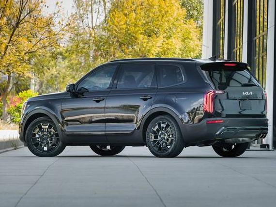 KIA TELLURIDE 2022 5XYP5DHC6NG253928 image