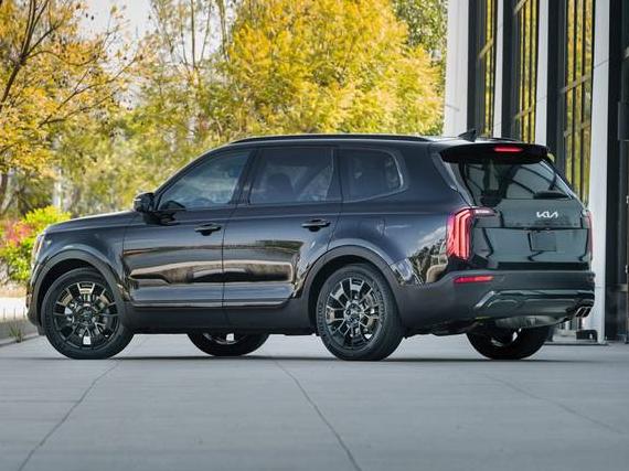 KIA TELLURIDE 2022 5XYP5DHC8NG308508 image