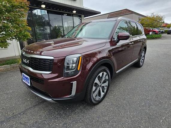 KIA TELLURIDE 2022 5XYP34HC1NG195166 image