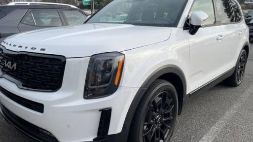 KIA TELLURIDE 2022 5XYP5DHC0NG249325 image