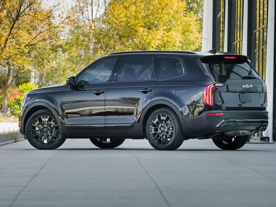 KIA TELLURIDE 2022 5XYP34HC6NG314846 image