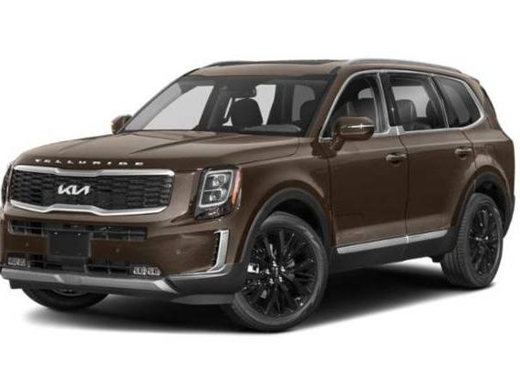 KIA TELLURIDE 2022 5XYP5DHC3NG282075 image