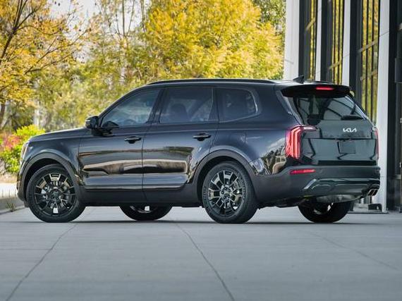 KIA TELLURIDE 2022 5XYP34HC3NG300810 image