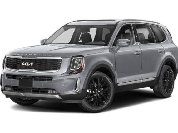 KIA TELLURIDE 2022 5XYP5DHC2NG290183 image