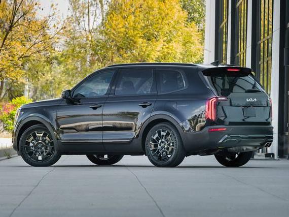 KIA TELLURIDE 2022 5XYP5DHC4NG304214 image