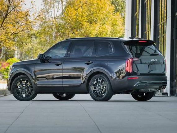 KIA TELLURIDE 2022 5XYP34HC3NG290697 image