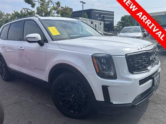 KIA TELLURIDE 2022 5XYP5DHC3NG310828 image