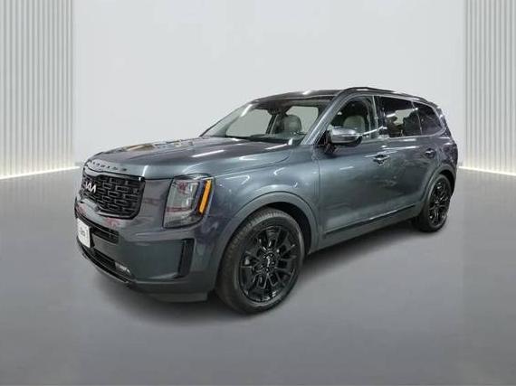 KIA TELLURIDE 2022 5XYP5DHCXNG258579 image