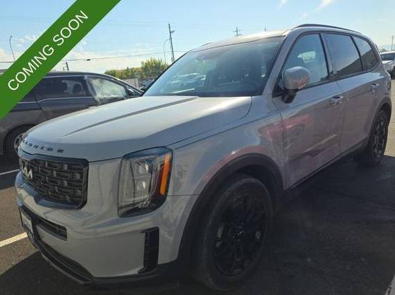 KIA TELLURIDE 2022 5XYP3DHC0NG249962 image