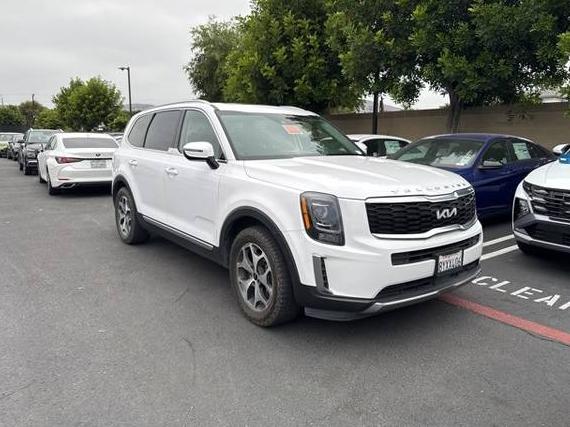 KIA TELLURIDE 2022 5XYP34HC6NG229456 image