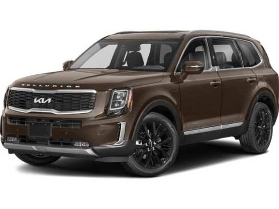 KIA TELLURIDE 2022 5XYP5DHC2NG248516 image