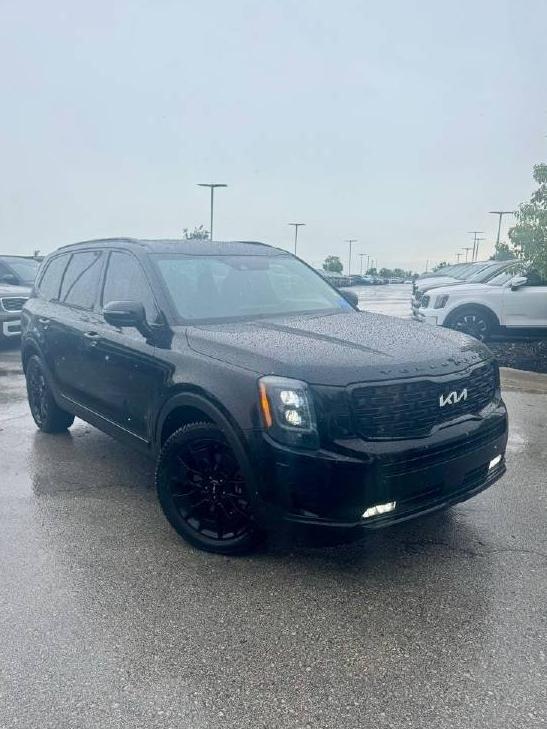 KIA TELLURIDE 2022 5XYP5DHC3NG270184 image