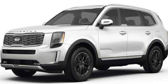 KIA TELLURIDE 2022 5XYP5DHC7NG229489 image
