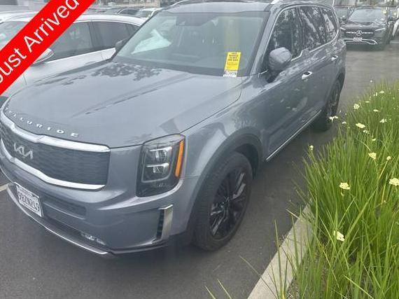 KIA TELLURIDE 2022 5XYP54HC2NG288708 image