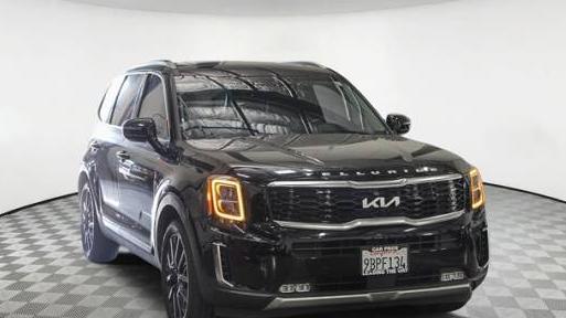 KIA TELLURIDE 2022 5XYP54HC8NG280015 image