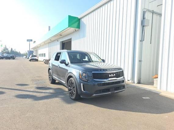 KIA TELLURIDE 2022 5XYP6DHC2NG321817 image