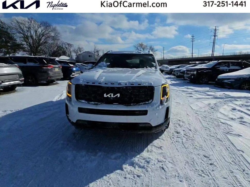 KIA TELLURIDE 2022 5XYP5DHC8NG254465 image