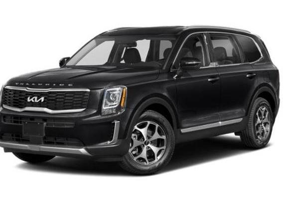 KIA TELLURIDE 2022 5XYP3DHC7NG216179 image