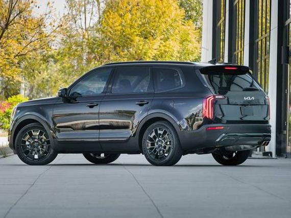 KIA TELLURIDE 2022 5XYP6DHC1NG259021 image
