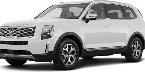 KIA TELLURIDE 2022 5XYP3DHC4NG286397 image