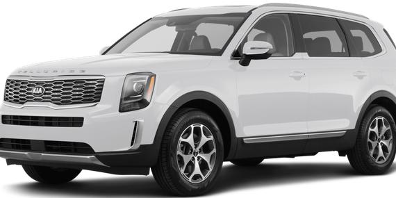 KIA TELLURIDE 2022 5XYP34HC2NG261031 image
