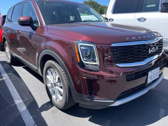 KIA TELLURIDE 2022 5XYP2DHC9NG281666 image