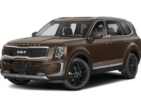 KIA TELLURIDE 2022 5XYP5DHCXNG272238 image