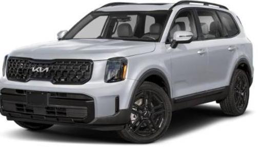 KIA TELLURIDE 2025 5XYP3DGC9SG608383 image