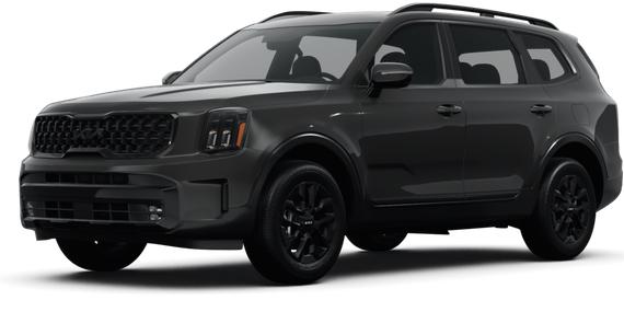 KIA TELLURIDE 2025 5XYP5DGC3SG608180 image