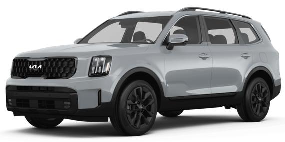 KIA TELLURIDE 2025 5XYP5DGCXSG586677 image