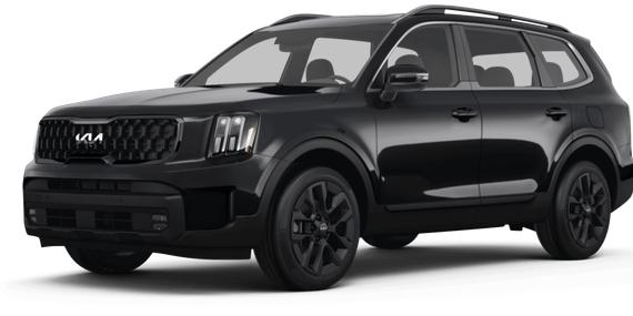KIA TELLURIDE 2025 5XYP5DGC5SG608276 image