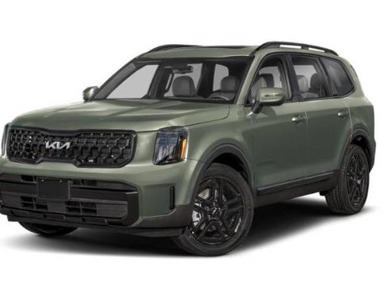 KIA TELLURIDE 2025 5XYP3DGC1SG612847 image