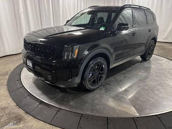 KIA TELLURIDE 2025 5XYP5DGCXSG645291 image