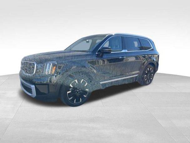 KIA TELLURIDE 2025 5XYP5DGCXSG614932 image