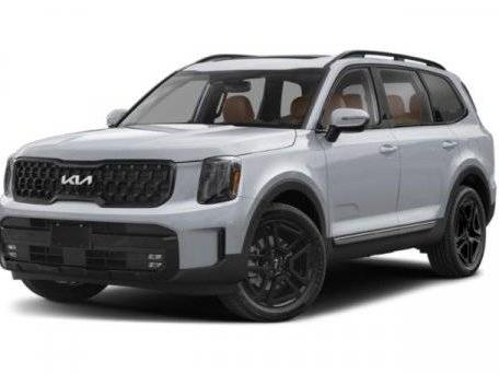 KIA TELLURIDE 2025 5XYP5DGC0SG671379 image