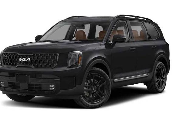 KIA TELLURIDE 2025 5XYP5DGCXSG621556 image