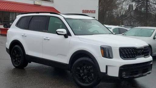 KIA TELLURIDE 2025 5XYP5DGC6SG580990 image